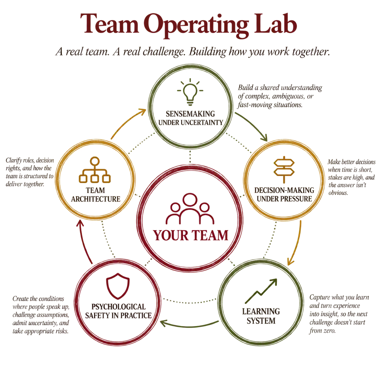 Team Operating Lab: five team capabilities around a real team working on a real challenge